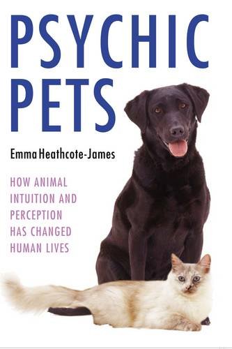 Animal Spiritualilty